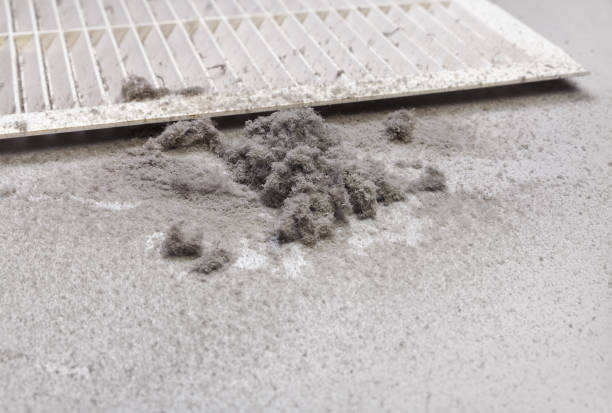 Best Affordable HVAC Duct Cleaning  in Humansville, MO