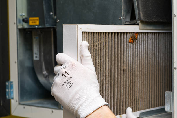 Best Local Air Duct Cleaning Services  in Humansville, MO